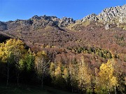 65 Splendidi colori autunnali suio fianchi boscosi del Venturosa